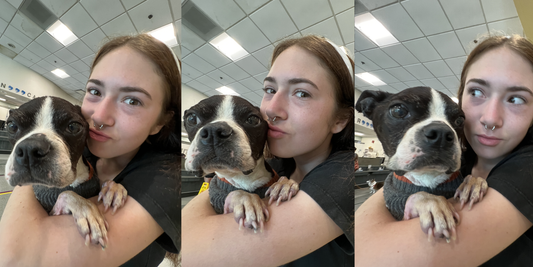 Elsa Update: Week 03