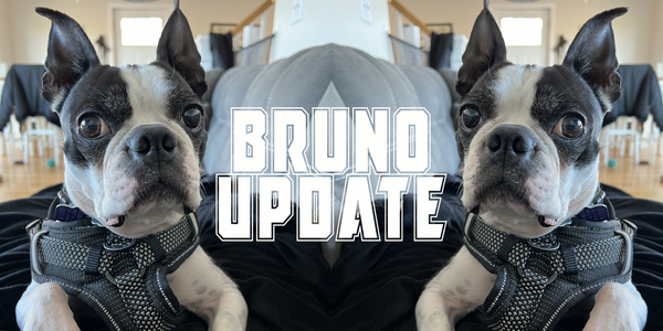 Bruno Update
