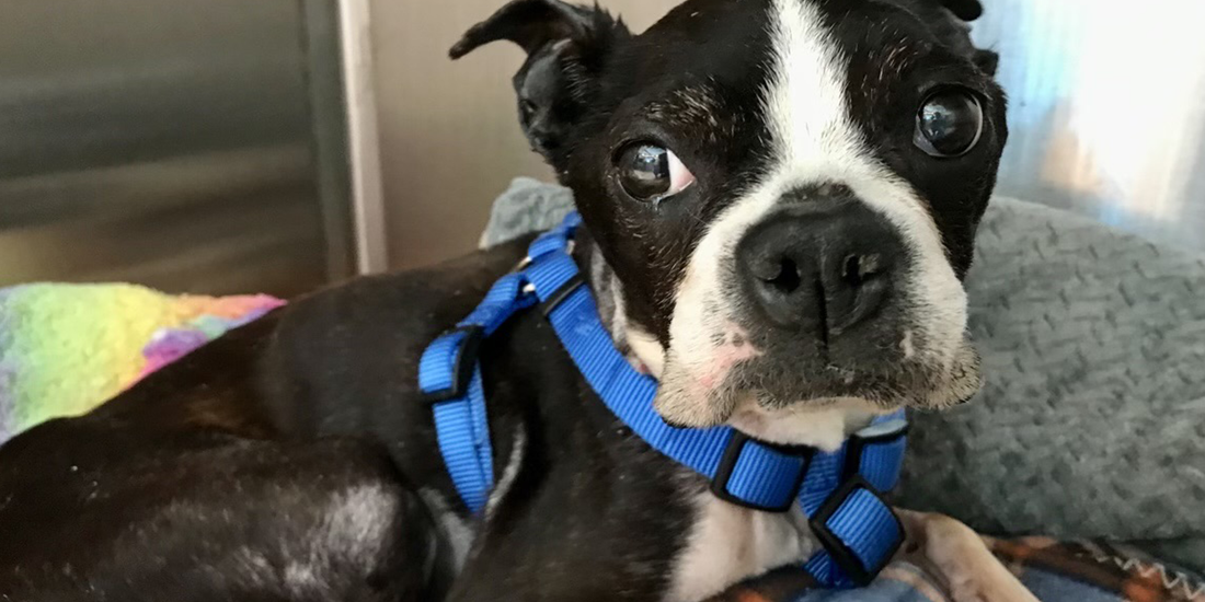 Elsa Update: Radiation Day 02