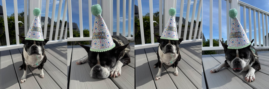 Happy Birthday Ivy
