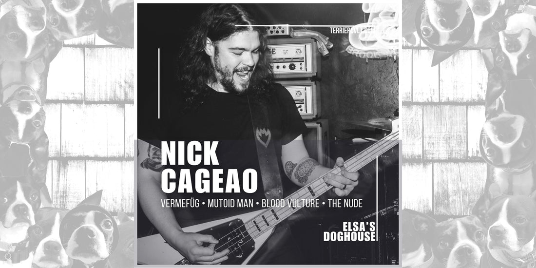 Elsa's Doghouse: Nick Cageao