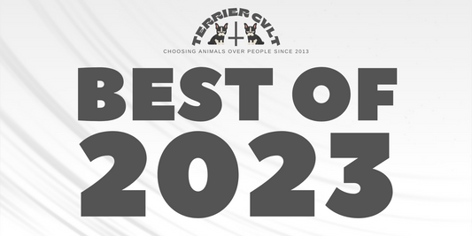 Best Of 2023