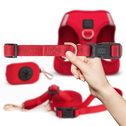 City Collar - Iconic Red