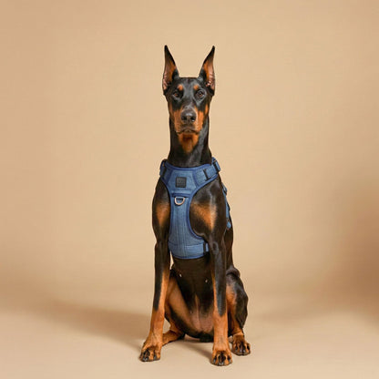 The NoMad Adjustable Luxe Harness - Denim