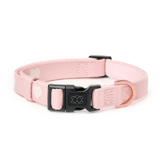 City Collar - Sweetheart