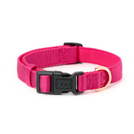 City Collar - Park Ave Pink