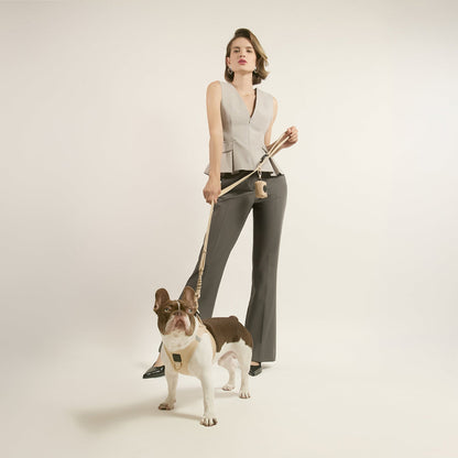 3-in-1 City Dog Leash - Dune