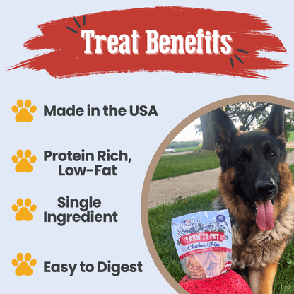Americana Chicken Chips for Dogs | Celebrate with USA-made Dog Treats