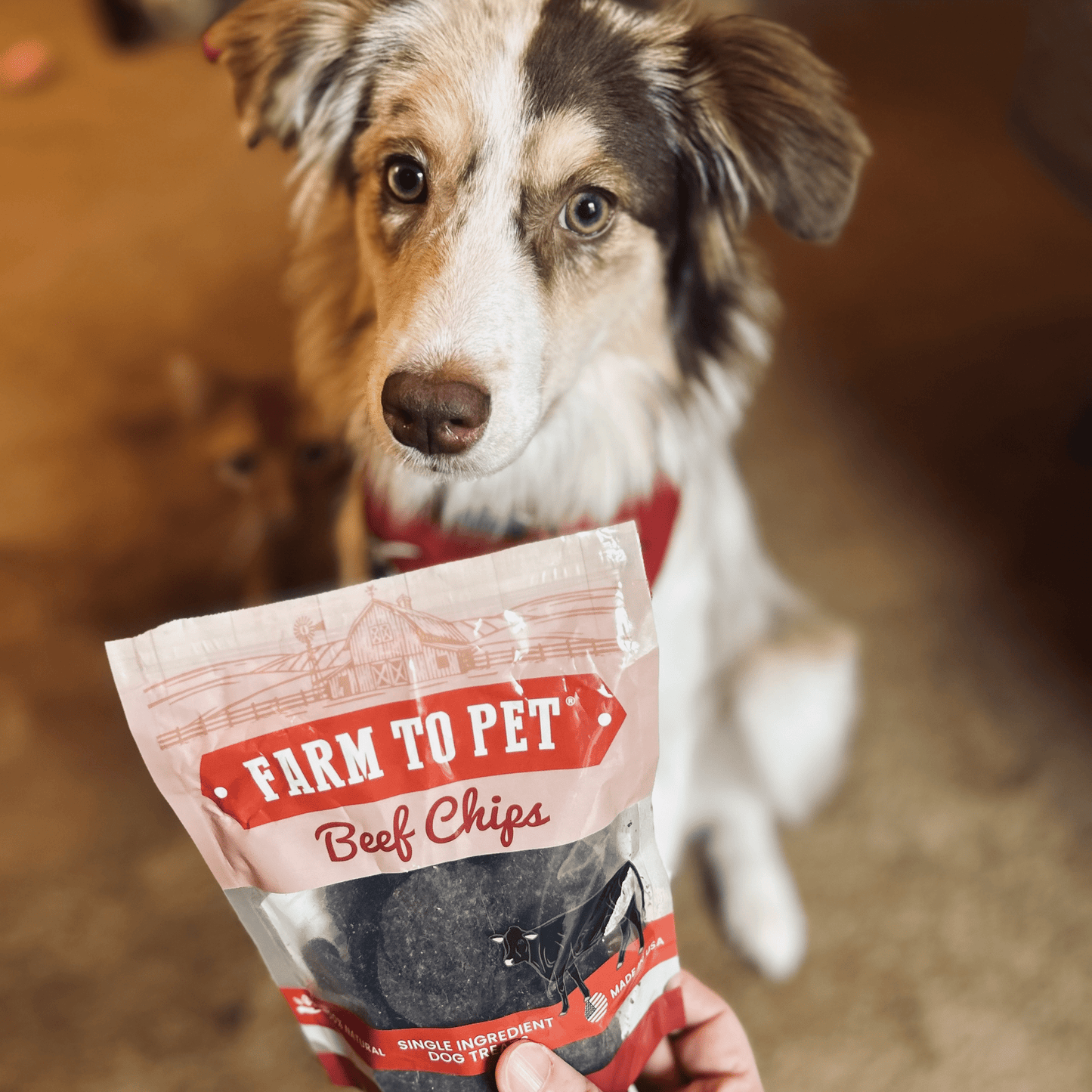 Puppy Packs 'n Snacks Dog Treat Starter Pack | Single-Ingredient Training Treats
