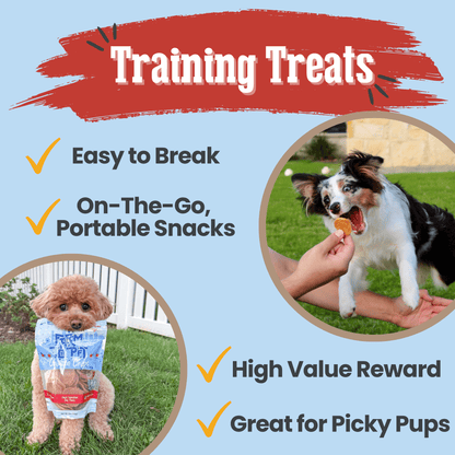 Chicago Chicken Chips for Dogs | Dog Treats To Celebrate Our Hometown