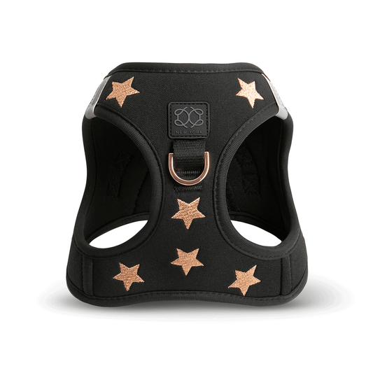 SoHo Dog Harness - Rockstar