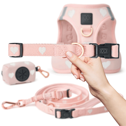 City Collar - Sweetheart