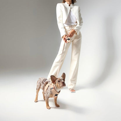 SoHo Dog Harness - Dune