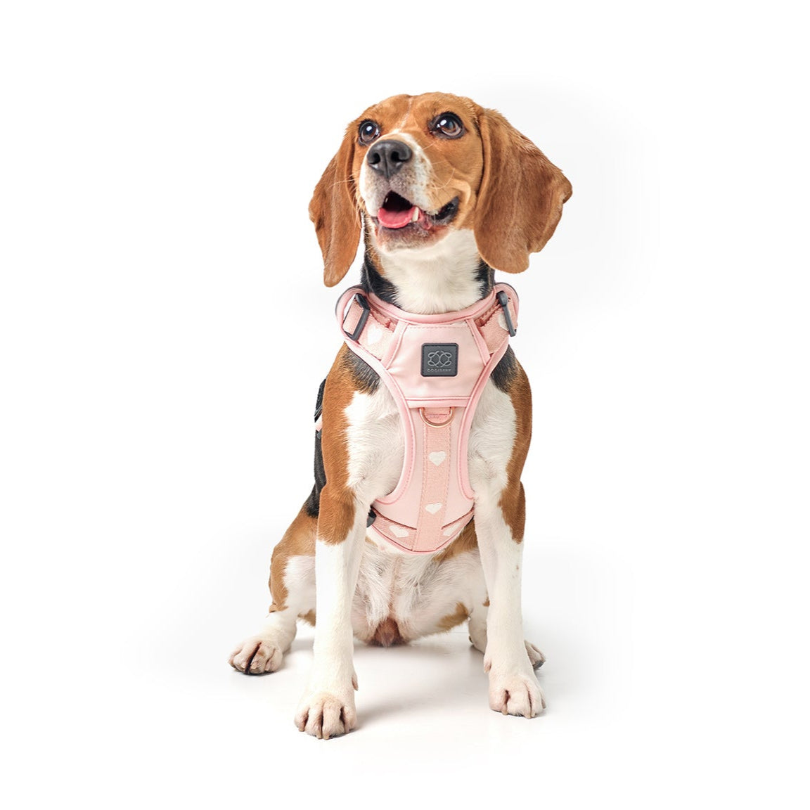 The NoMad Adjustable Luxe Harness - Sweetheart