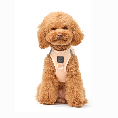SoHo Dog Harness - Dune