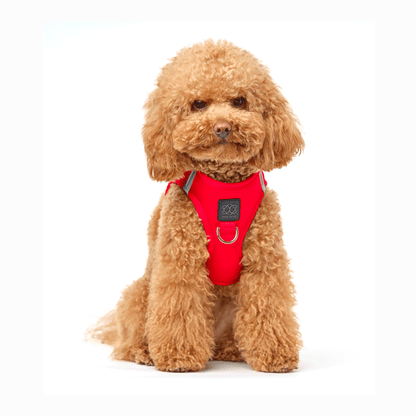 SoHo Dog Harness - Iconic Red